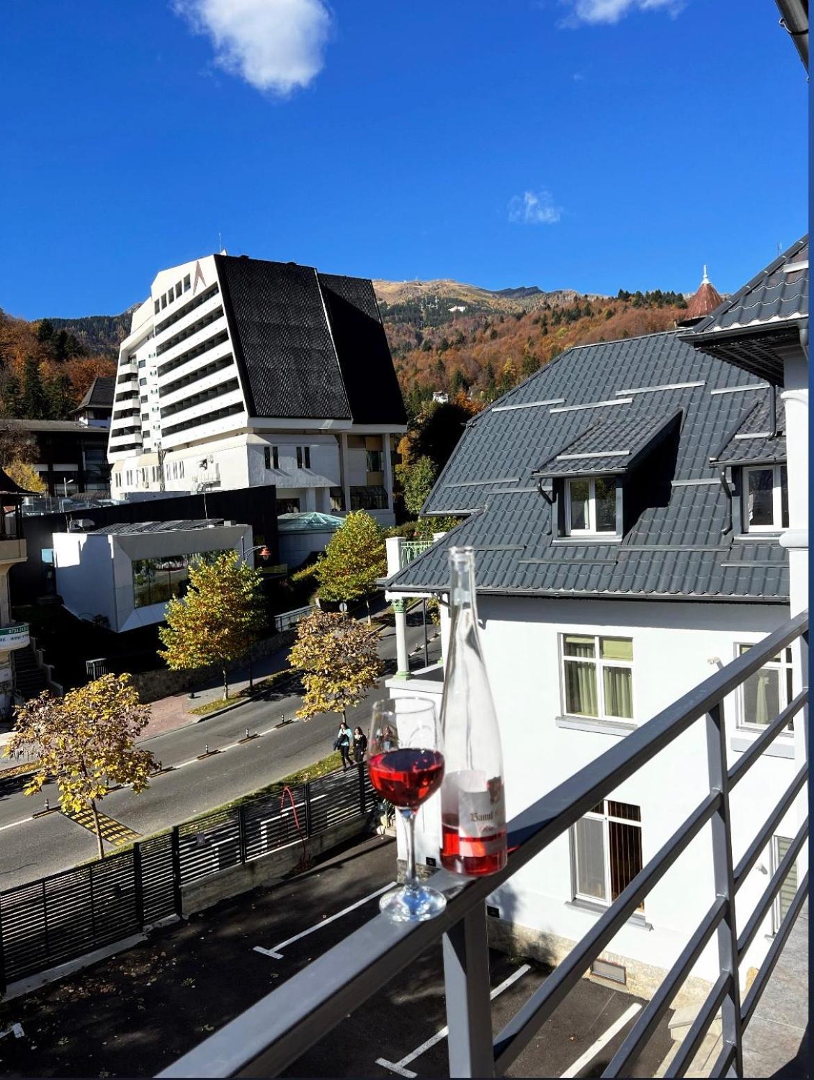 Ana Apartments Sinaia Extérieur photo